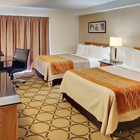 Comfort Inn Edmundston Buitenkant foto