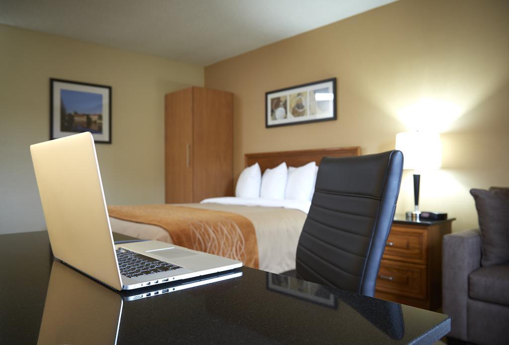 Comfort Inn Edmundston Buitenkant foto