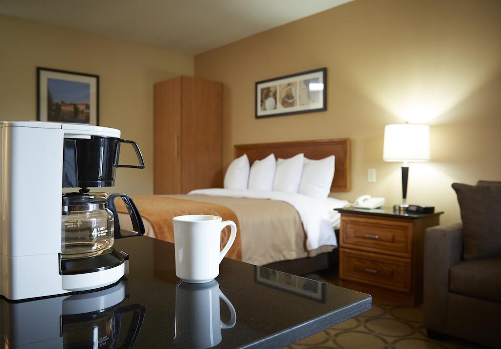 Comfort Inn Edmundston Buitenkant foto